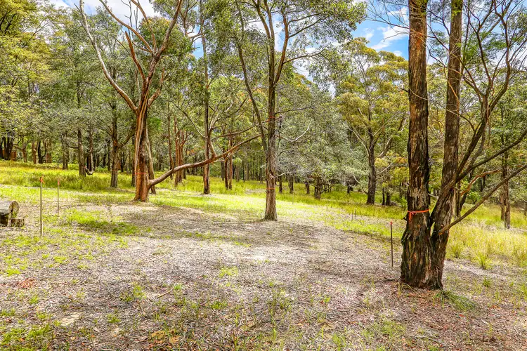 Fifth view of Homely land listing, 41 Toomeys Road, Mount Elliot NSW 2250