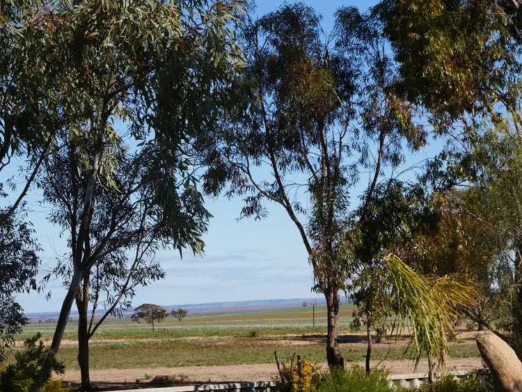 3438 Dowerin-Koorda Road, Booralaming WA 6475