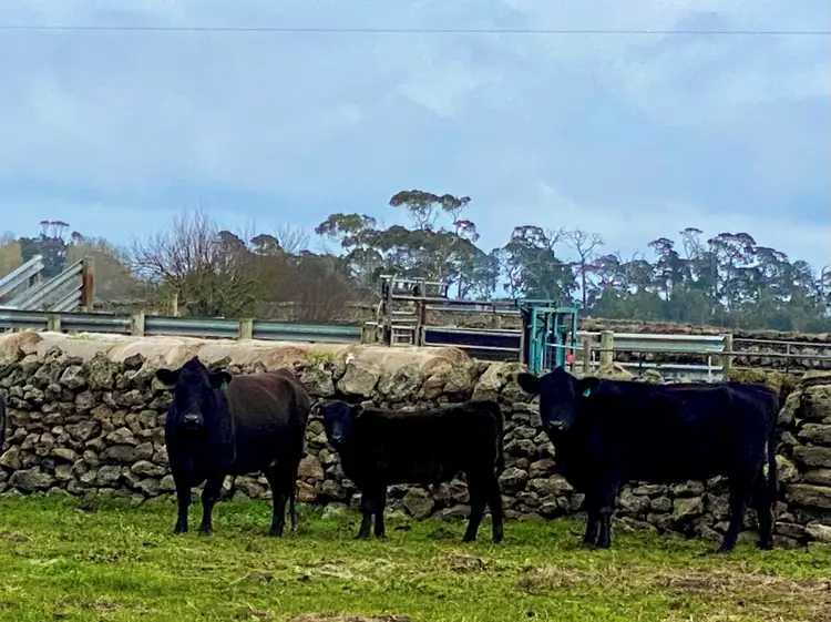 Main view of Homely rural property listing, Lot 2 PS429485 Pomborneit-Foxhow Road, Pomborneit North VIC 3260