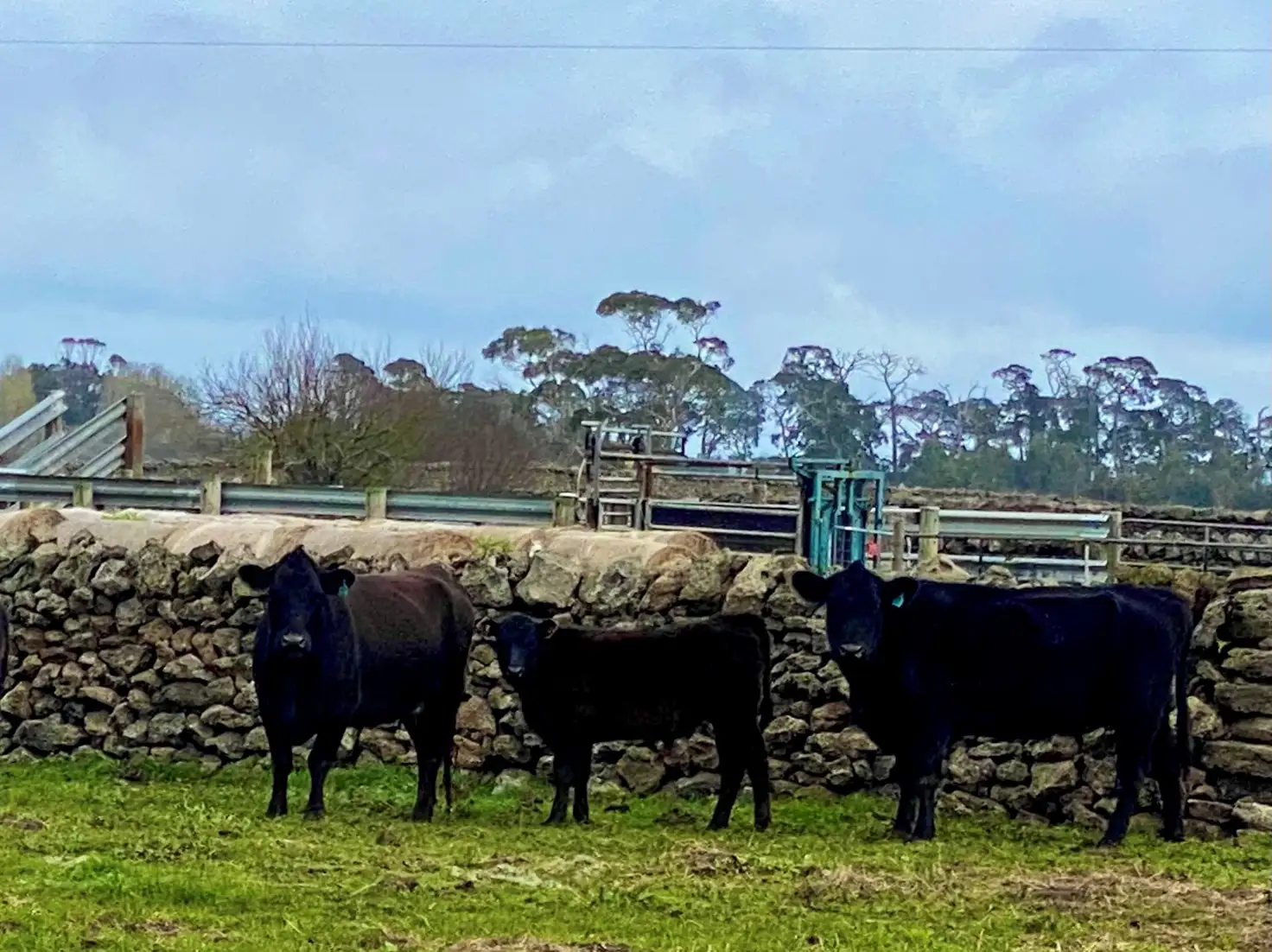 Main view of Homely rural property listing, Lot 2 PS429485 Pomborneit-Foxhow Road, Pomborneit North VIC 3260