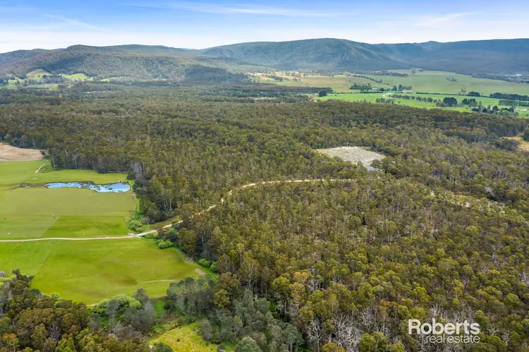210361/1 Elephant Pass Road, St Marys TAS 7215