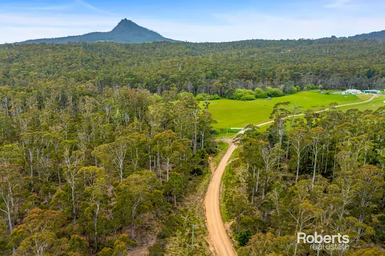 Fifth view of Homely land listing, 210361/1 Elephant Pass Road, St Marys TAS 7215