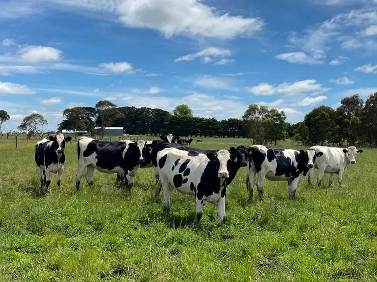 Second view of Homely rural property listing, - Gores Road, Ecklin South VIC 3265