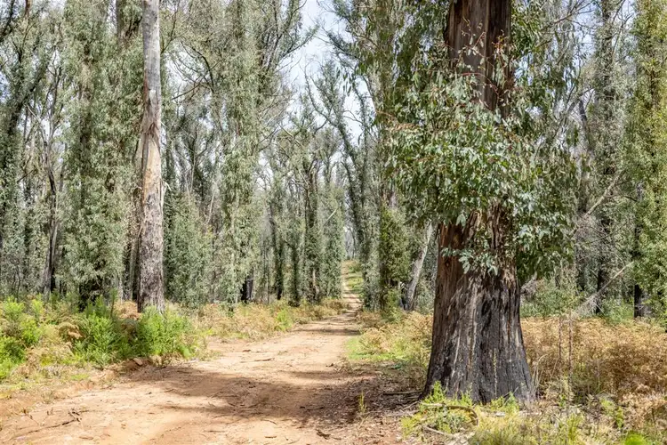 Seventh view of Homely land listing, 15A Batlow Road, Batlow NSW 2730