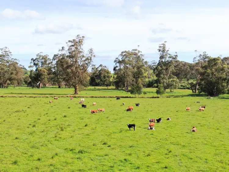 Fourth view of Homely rural property listing, 00 Cnr Main South Road and Olsen Road, Poowong East VIC 3988