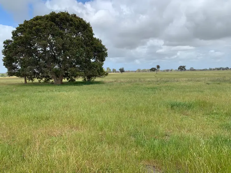 Fifth view of Homely rural property listing, 300 Goodwood Road, Capel WA 6271