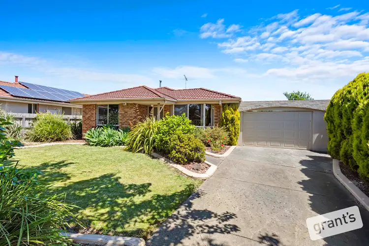 93 Saffron Drive, Narre Warren VIC 3805