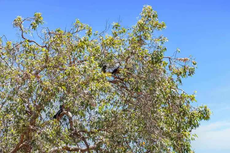 Sixth view of Homely house listing, 49 Warlingham Drive, Lesmurdie WA 6076