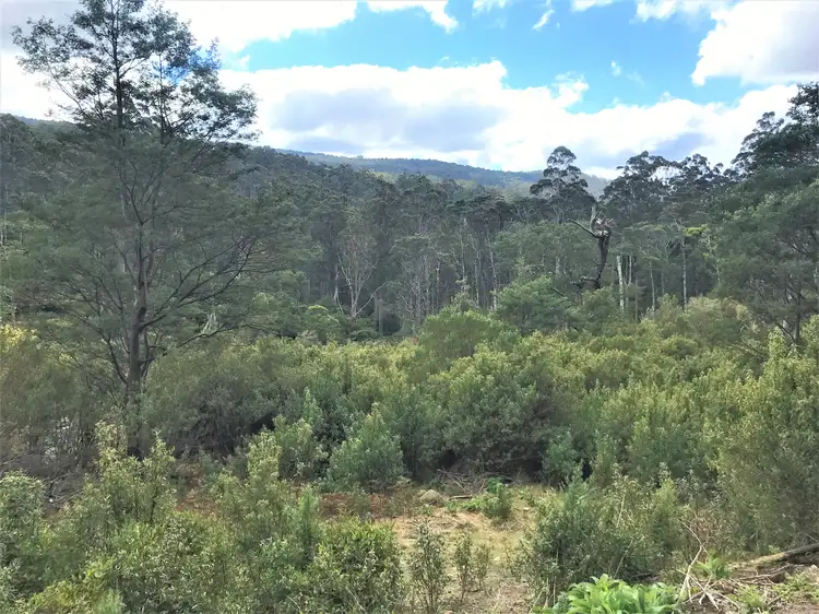 Main view of Homely land listing, Lottah Road, Lottah TAS 7216