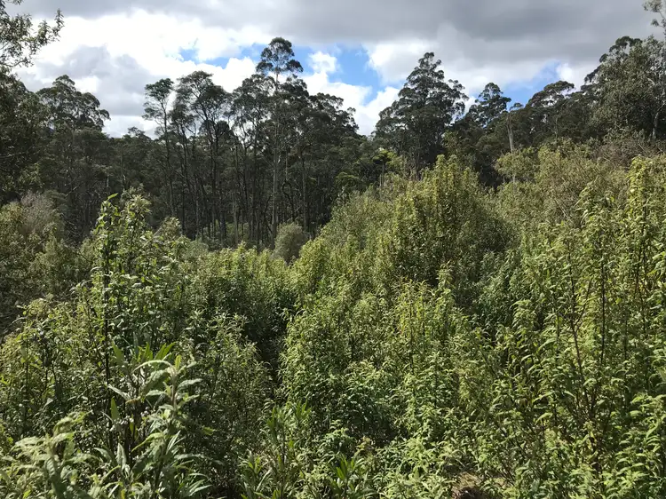 Second view of Homely land listing, Lottah Road, Lottah TAS 7216