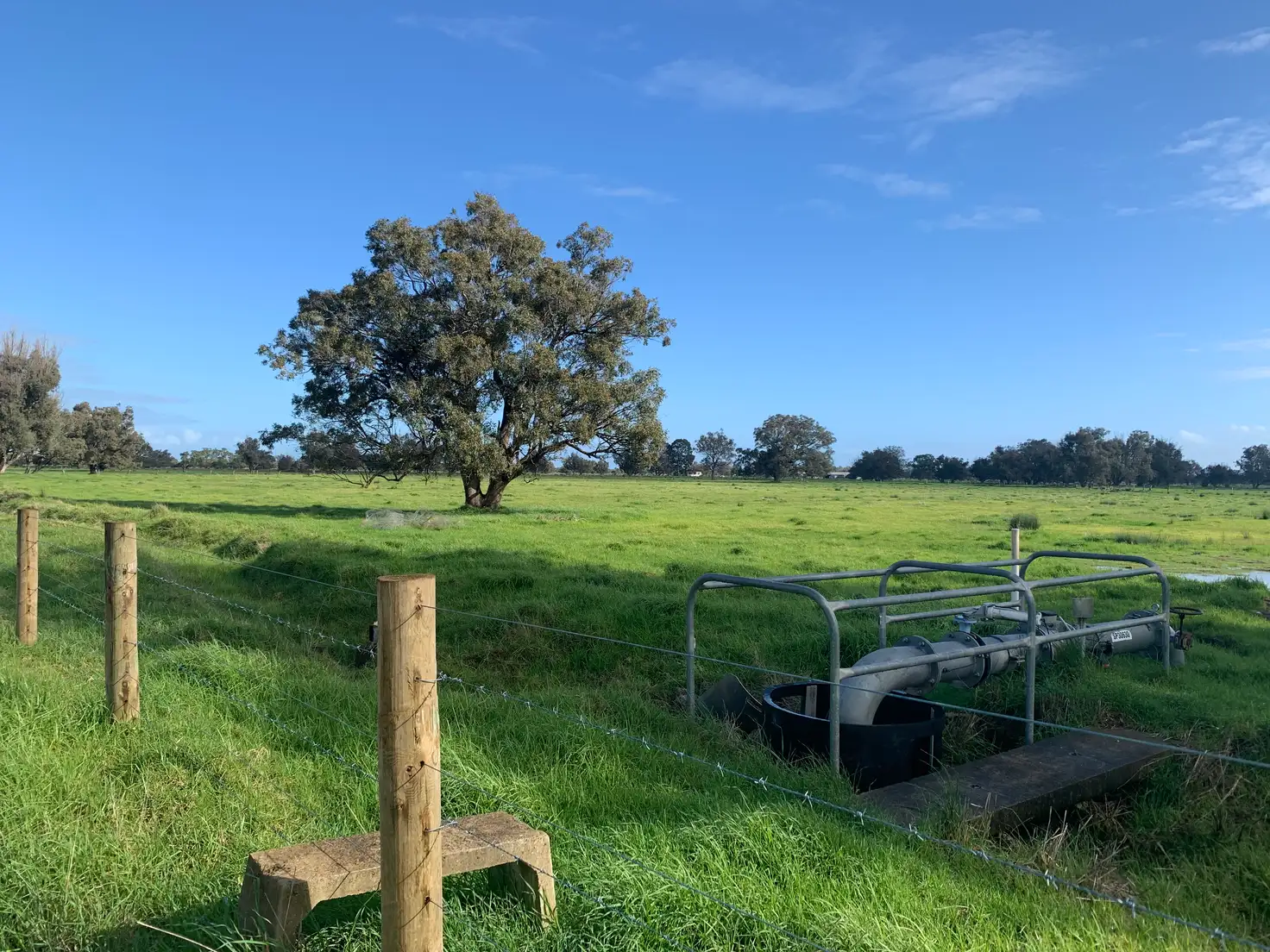 Main view of Homely rural property listing, Lot 33 Hope Avenue, Wokalup WA 6221