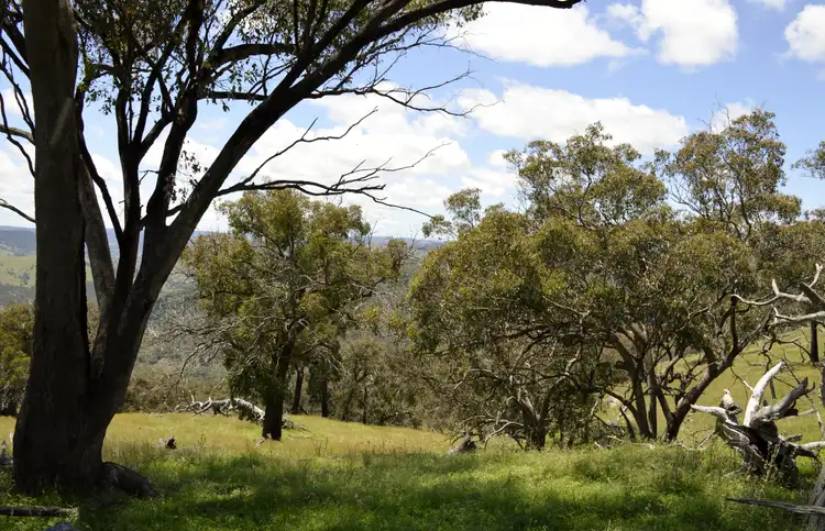 Fourth view of Homely rural property listing, 266 Highland Home Road, Hargraves, Mudgee NSW 2850