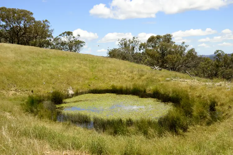 Sixth view of Homely rural property listing, 266 Highland Home Road, Hargraves, Mudgee NSW 2850