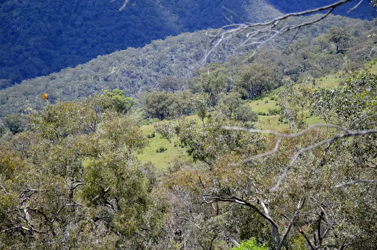 Seventh view of Homely rural property listing, 266 Highland Home Road, Hargraves, Mudgee NSW 2850