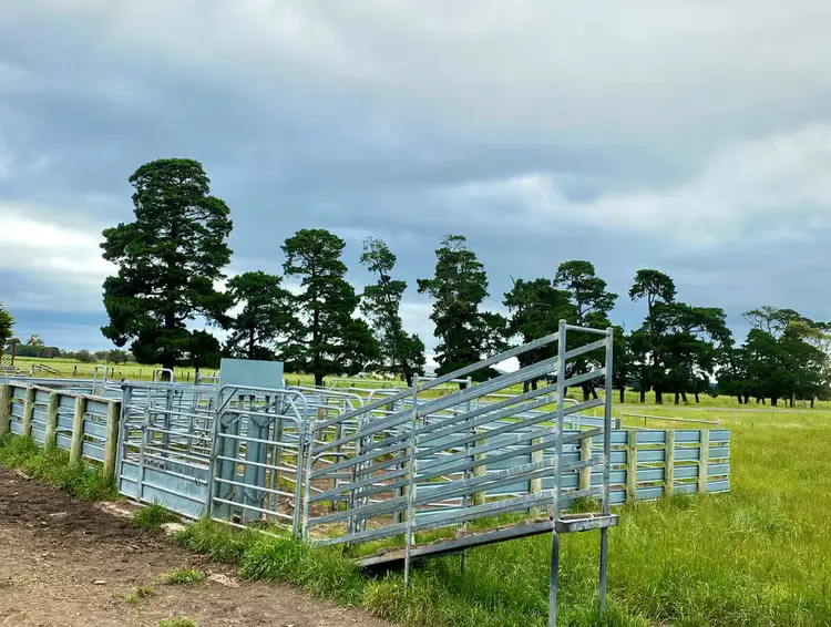 Fifth view of Homely rural property listing, - Camperdown-Lismore Road, Kariah VIC 3260