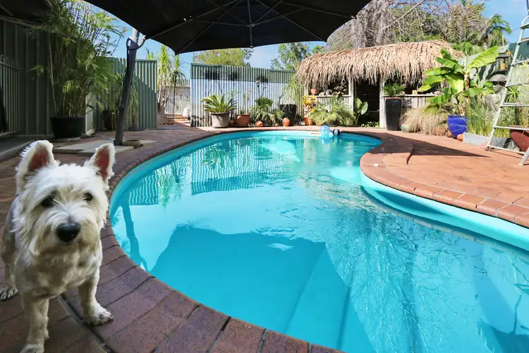 18 Bergman Circuit, Katherine NT 850