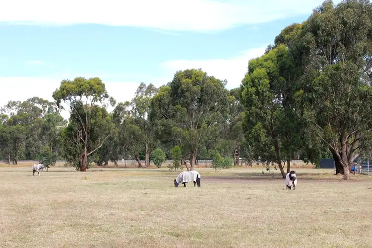 Fifth view of Homely land listing, 39 Mcdiarmids Road, Violet Town VIC 3669
