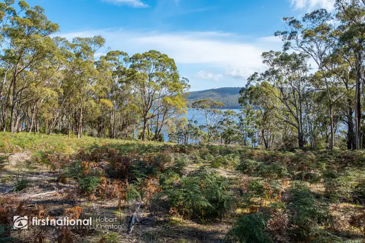 Fifth view of Homely land listing, LOT 1, 225 Nebraska Road, North Bruny TAS 7150