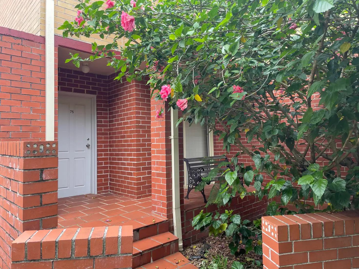 Main view of Homely townhouse listing, 75/1-9 Terrace Road, Dulwich Hill NSW 2203