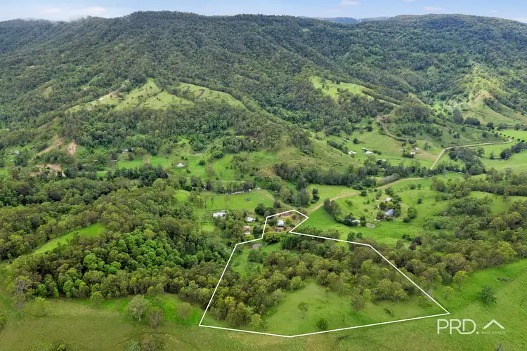 Second view of Homely rural property listing, 293 Boorabee Creek Road, Boorabee Park NSW 2480