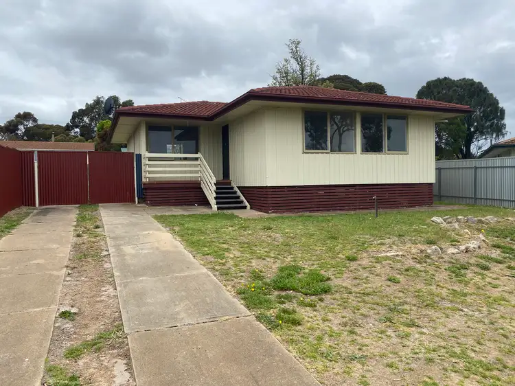Main view of Homely house listing, 10 WARDLE CRESCENT, Naracoorte SA 5271