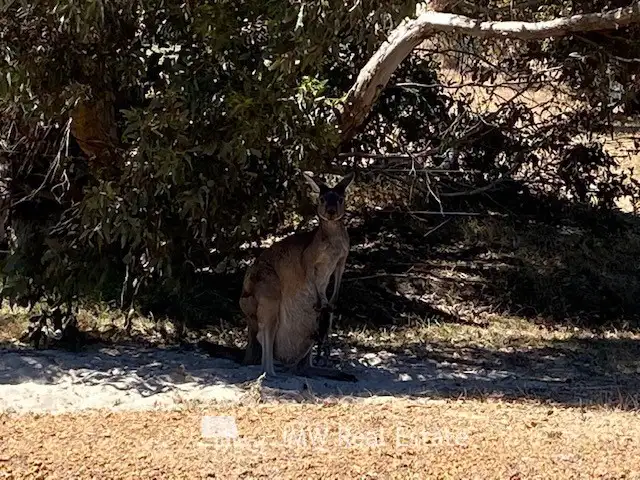 Sixth view of Homely land listing, 129 Kinross Loop, Quindalup WA 6281