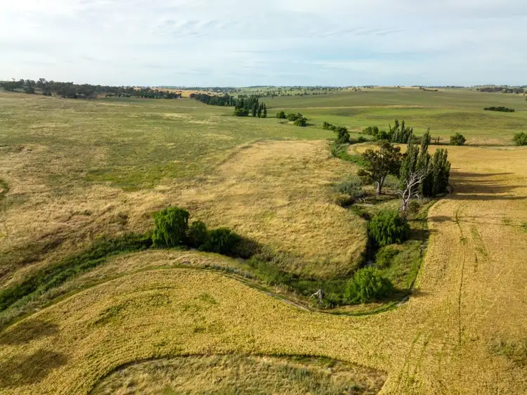 Second view of Homely rural property listing, 'Nimby West' 282 Nimby Road, Harden NSW 2587