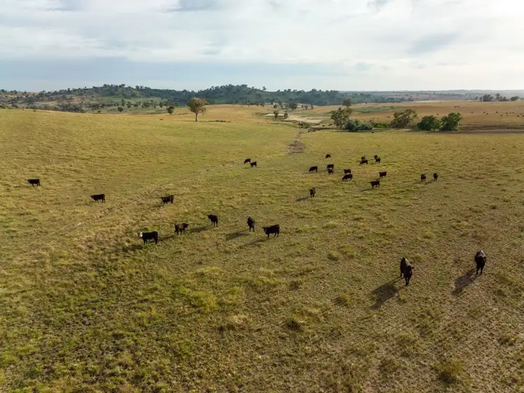 Fourth view of Homely rural property listing, 'Nimby West' 282 Nimby Road, Harden NSW 2587