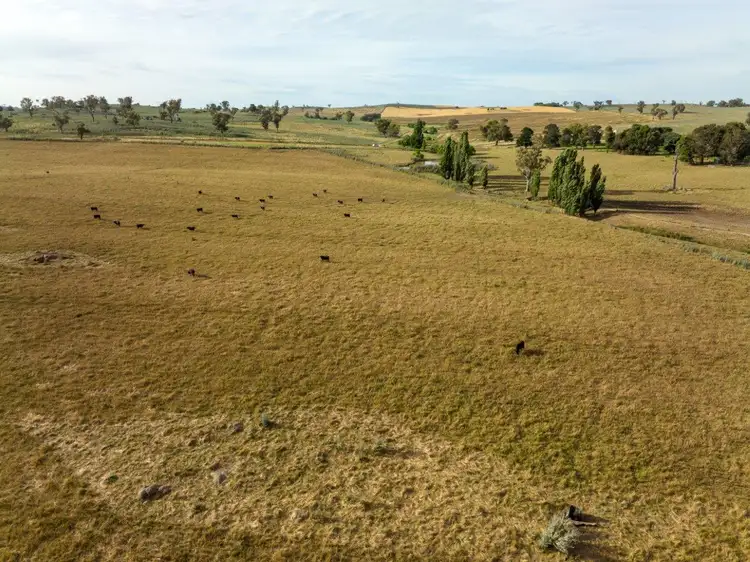 Fifth view of Homely rural property listing, 'Nimby West' 282 Nimby Road, Harden NSW 2587