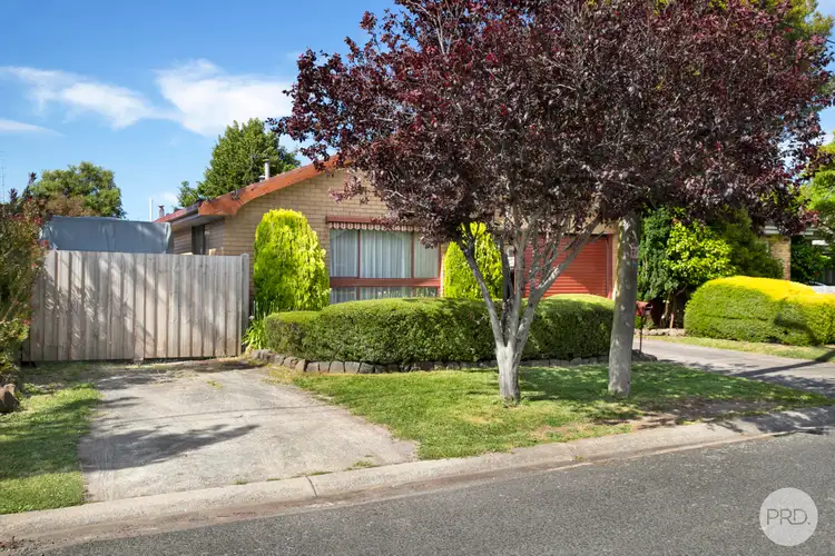 Second view of Homely house listing, 31 Queen Victoria Street, Newington VIC 3350