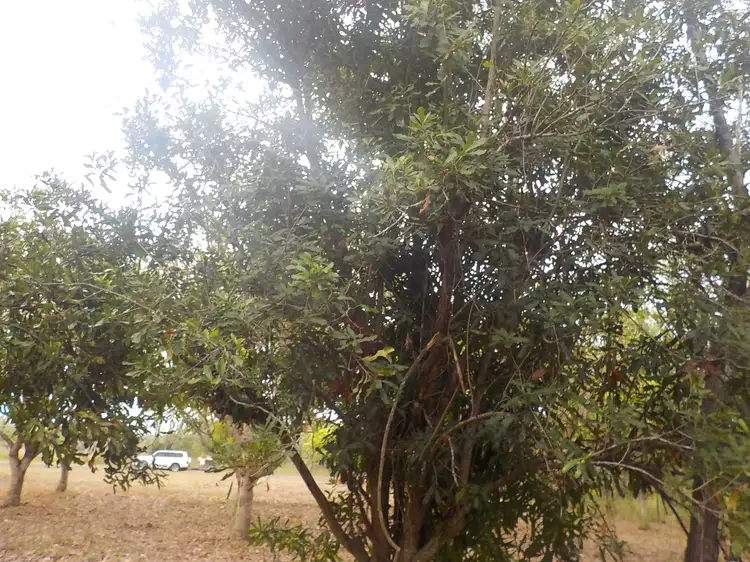 Fifth view of Homely land listing, Address available on request