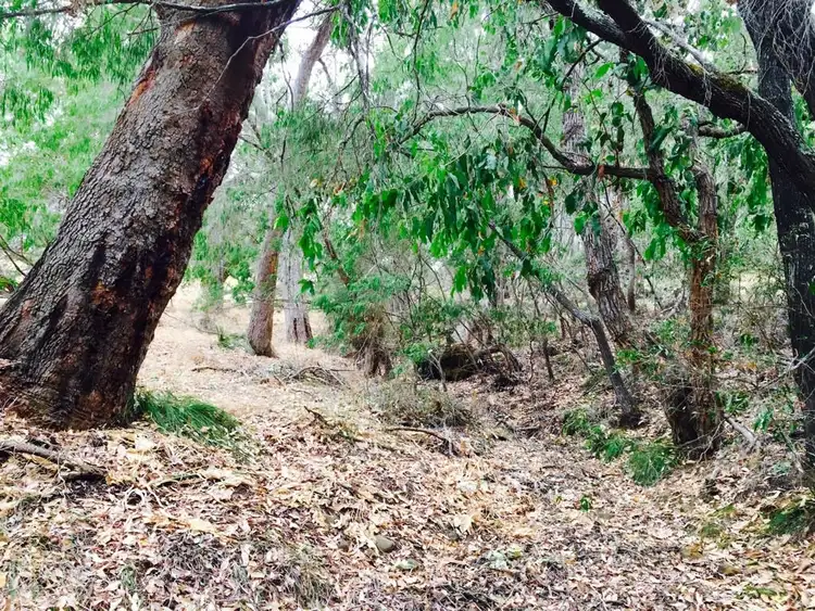Third view of Homely land listing, 191 Sheoak Drive, Yallingup WA 6282