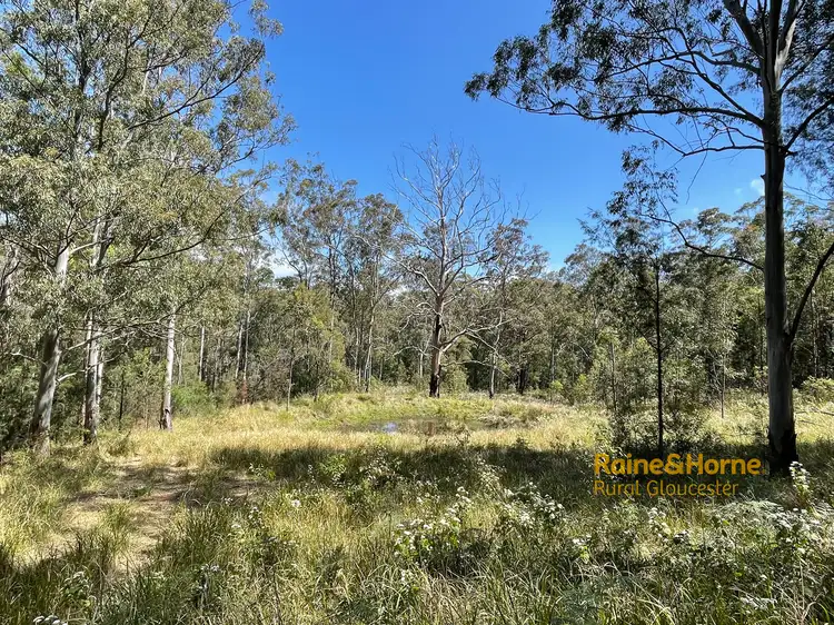 Fourth view of Homely rural property listing, Lot 1 Mud Hut Road, Gloucester NSW 2422