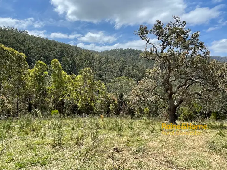 Seventh view of Homely rural property listing, Lot 1 Mud Hut Road, Gloucester NSW 2422