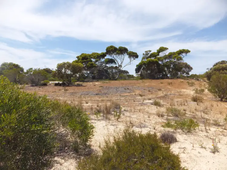 Main view of Homely land listing, 13 France Street, Hopetoun WA 6348