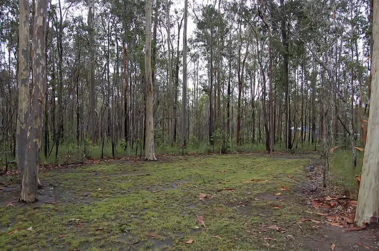 Fifth view of Homely rural property listing, 245 Duke Road, West Bungawalbin NSW 2471
