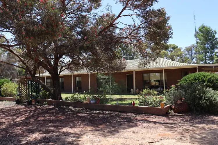 Second view of Homely house listing, 133 Distillery Road, Glossop SA 5344