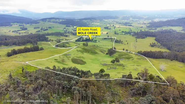 Fourth view of Homely house listing, 20 Azels Road, Mole Creek TAS 7304