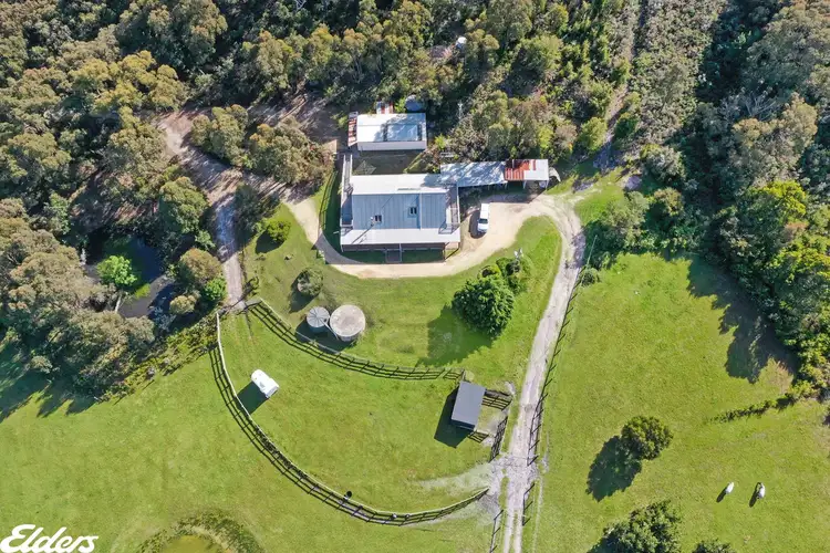 Second view of Homely rural property listing, 128 Baxters Road, Macks Creek VIC 3971