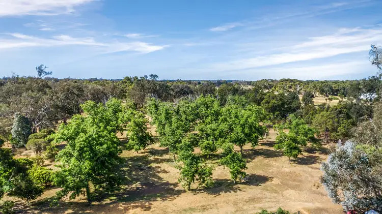 Sixth view of Homely rural property listing, 53 Halls Road, Capel WA 6271