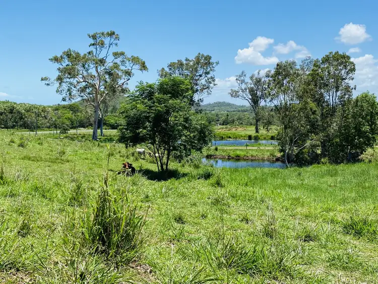Seventh view of Homely land listing, 1/53 Mick Ready Road, Grasstree Beach QLD 4740