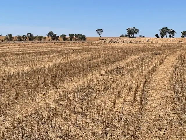 Second view of Homely rural property listing, Lot 10266 BARRINGTON ROAD, East Beverley WA 6304