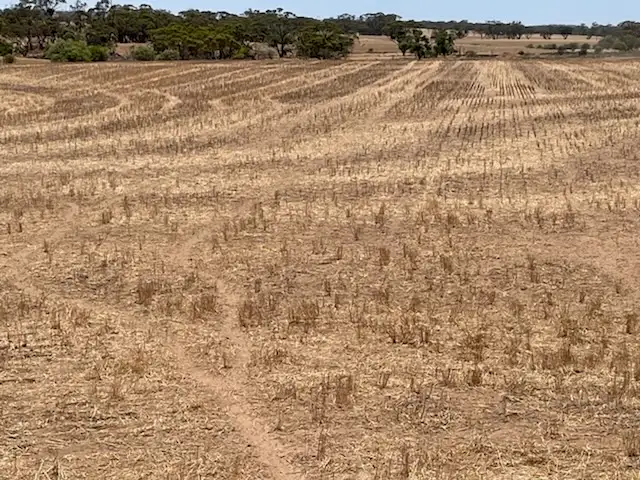 Third view of Homely rural property listing, Lot 10266 BARRINGTON ROAD, East Beverley WA 6304