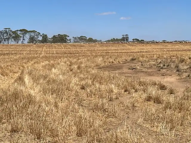 Fourth view of Homely rural property listing, Lot 10266 BARRINGTON ROAD, East Beverley WA 6304
