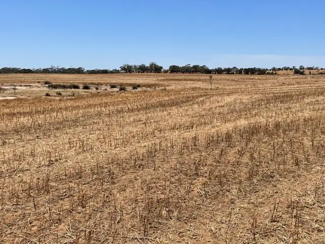 Fifth view of Homely rural property listing, Lot 10266 BARRINGTON ROAD, East Beverley WA 6304