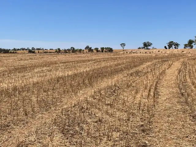 Sixth view of Homely rural property listing, Lot 10266 BARRINGTON ROAD, East Beverley WA 6304