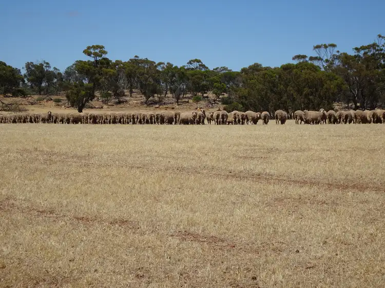 Second view of Homely rural property listing, Lot 11 Yilliminning Road, Boundain WA 6312
