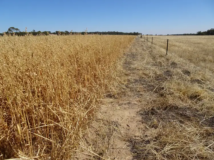 Third view of Homely rural property listing, Lot 11 Yilliminning Road, Boundain WA 6312