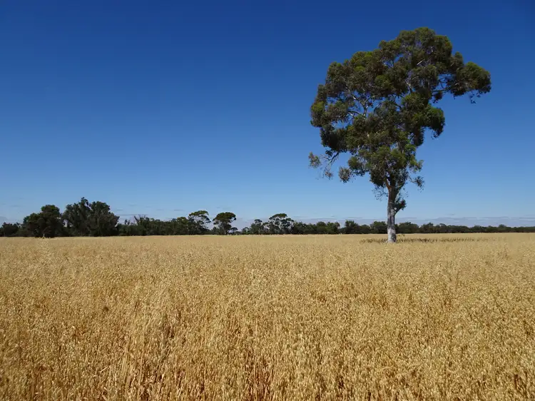 Fifth view of Homely rural property listing, Lot 11 Yilliminning Road, Boundain WA 6312