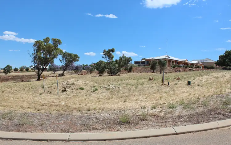 2 Marshall Pl, Northam WA 6401
